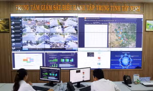 Chuyển đổi số, tạo bước phát triển mới - Bài 1: Lộ trình hợp lý