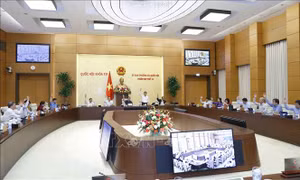 Thành lập thị trấn Bình Phú (Tiền Giang) và thị xã Chơn Thành (Bình Phước) ​