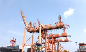 CPTPP có hiệu lực từ 1/1/2019: Chủ động đổi mới để thích ứng