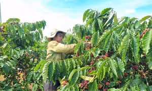 10 Quyết định và Công điện của Chính phủ, Thủ tướng Chính phủ đã ban hành trong tháng 4/2023
