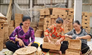  Thoát nghèo nhờ nghề đan lục bình