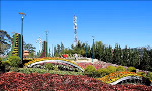 Festival Hoa Đà Lạt sẽ diễn ra trong 2 tháng 