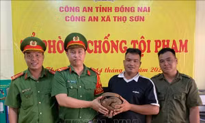 Phát hiện tê tê Java quý hiếm bò vào sân nhà dân