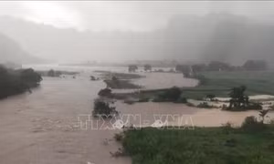 Khắc phục hậu quả bão Noru, nhanh chóng hỗ trợ nhân dân ổn định đời sống