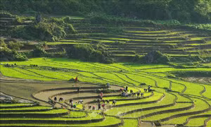 Triển lãm 'Du lịch qua các miền di sản và danh thắng Việt Nam' sẽ diễn ra tại Điện Biên