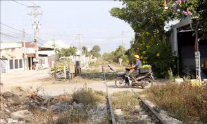 Tăng cường tuần tra, xử lý vi phạm an toàn giao thông đường sắt