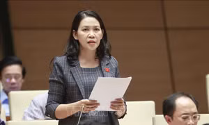Ưu tiên nguồn lực để đầu tư đột phá cho các huyện đảo
