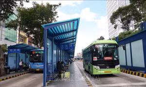 Chấn chỉnh bất cập khi triển khai miễn phí vé xe buýt tại TP Hồ Chí Minh
