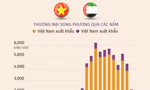 Quan hệ thương mại Việt Nam - Các Tiểu vương quốc Arập Thống nhất