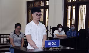 Phạt tù 2 đối tượng lừa đảo, chiếm đoạt tài sản của Công ty dịch vụ giao hàng nhanh