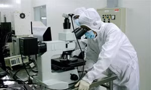 Nhiều giải pháp thúc đẩy khoa học công nghệ và đổi mới sáng tạo