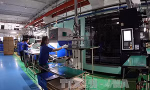 Nâng tầm doanh nghiệp TP Hồ Chí Minh - Bài 2: 'Nghèo' nhưng hay gặp... 'eo'