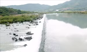 Hệ thống thủy nông lớn nhất Phú Yên mở nước phục vụ sản xuất