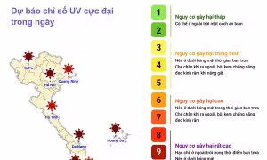 Nhiều thành phố có chỉ số tia cực tím ở mức nguy cơ gây hại cao đến rất cao