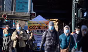 Mỹ: Nhiều bệnh viện yêu cầu đeo khẩu trang do số ca mắc cúm, COVID-19 tăng cao
