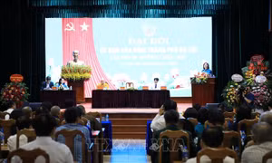 Đại hội đại biểu Ủy ban Hòa bình thành phố Hà Nội lần thứ VII