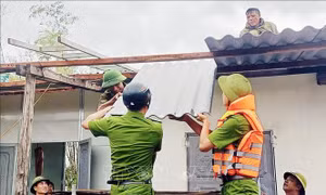 Thủ tướng Chính phủ yêu cầu khẩn trương hỗ trợ nhân dân khắc phục hậu quả bão số 10 và mưa lũ