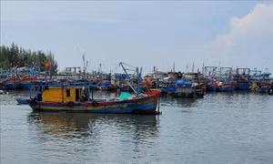 Bà Rịa-Vũng Tàu: Tàu cá 6 mét trở lên phải có giấy phép khai thác thủy sản