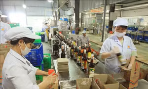 Đề xuất sớm thành lập Hiệp hội Nước mắm truyền thống Việt Nam