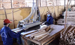 VCCI góp ý dự thảo Nghị định hướng dẫn thi hành Luật Hỗ trợ doanh nghiệp nhỏ và vừa