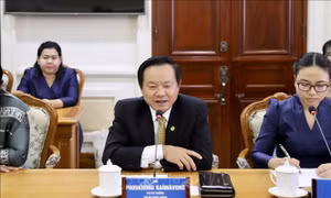 Lãnh đạo TP Hồ Chí Minh tiếp lãnh đạo các địa phương của Lào, Campuchia và Hàn Quốc