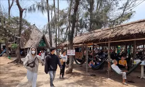 Khu du lịch biển Ba Động mỗi ngày đón trên 16.000 lượt du khách