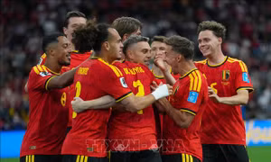 World Cup 2026: Ngược dòng khó tin trước Senegal, Bỉ giành quyền vào vòng 1/8