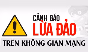 Các hình thức lừa đảo phổ biến trên mạng chủ yếu là giả mạo thương hiệu