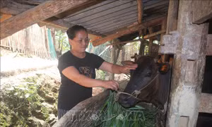 Trao cơ hội thoát nghèo cho người dân vùng cao biên giới ​