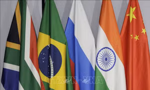 Algeria được chấp thuận gia nhập Ngân hàng Phát triển Mới của BRICS
