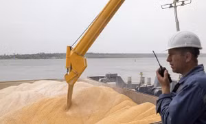 Ba Lan, Slovakia và Hungary phản ứng với việc Ukraine kiện lên WTO về cấm ngũ cốc