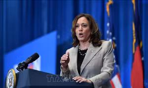 Bà Kamala Harris ráo riết chọn người liên danh tranh cử
