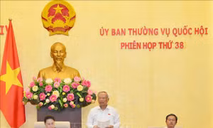  Ủy ban Thường vụ Quốc hội quyết định sắp xếp, thành lập một số đơn vị hành chính