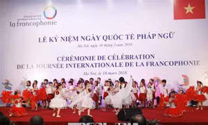 'Sắc màu Pháp ngữ' tôn vinh Ngày Quốc tế Pháp ngữ 2019