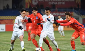 Trận tranh Cup liên khu vực Việt Nam - Hàn Quốc chưa thể tổ chức trong năm 2019