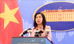 Chưa ghi nhận công dân Việt Nam nào bị ảnh hưởng bởi biểu tình tại Pháp