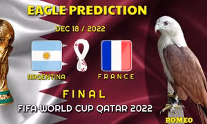 Dự đoán đội vô địch World Cup 2022: Phần lớn 'nhà tiên tri động vật' ưu ái Argentina 