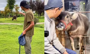 Hiện tượng người ra tù chia sẻ quá khứ trở nên nổi tiếng gây tranh cãi ở Trung Quốc