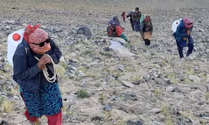 Lực lượng dân làng đảm bảo hậu cần cho binh sĩ Ấn Độ tại dãy Himalaya