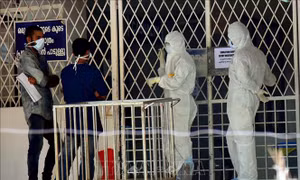 WHO: Nguy cơ lây lan virus Nipah tại Ấn Độ ở mức thấp