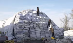 Góc khuất trong cuộc sống 'nô lệ' thời hiện đại tại Trung Quốc
