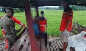 Chờ xe buýt, ngồi cạnh cả tiếng và nói chuyện với... xác chết mà không biết