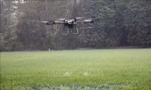 World Cup 2026: Mỹ vô hiệu hoá và thu giữ hàng trăm UAV kể từ ngày khai mạc