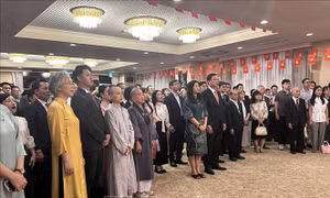 Mong muốn đóng góp thiết thực và bền bỉ cho sự phát triển đất nước