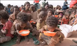 Các nước tăng viện trợ cho khu vực Tây Phi và Sahel ứng phó nạn đói