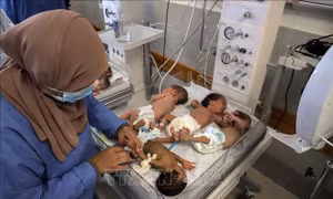 28 trẻ sinh non sơ tán từ bệnh viện Al-Shifa tới Ai Cập an toàn