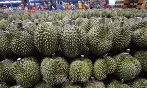 Thái Lan tranh luận về dự thảo Luật Sầu riêng