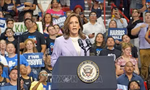 Bà Harris chấp nhận các quy tắc tranh luận với ông Trump