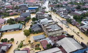 Nạn phá rừng làm gia tăng lũ lụt gây thương vong