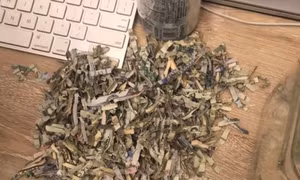 Giúp mẹ hủy tài liệu, bé trai biến số tiền gia đình tích cóp 1 năm thành giấy vụn